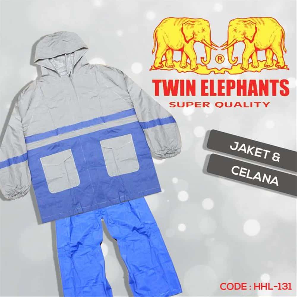 Twin-Elephant