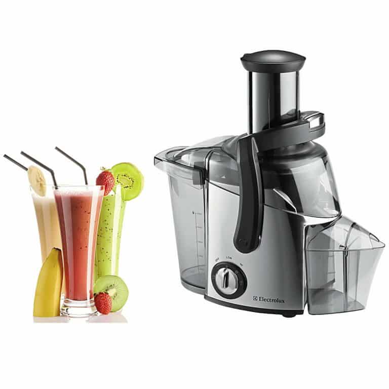 10 Merk Juicer Terbaik Vemaleup