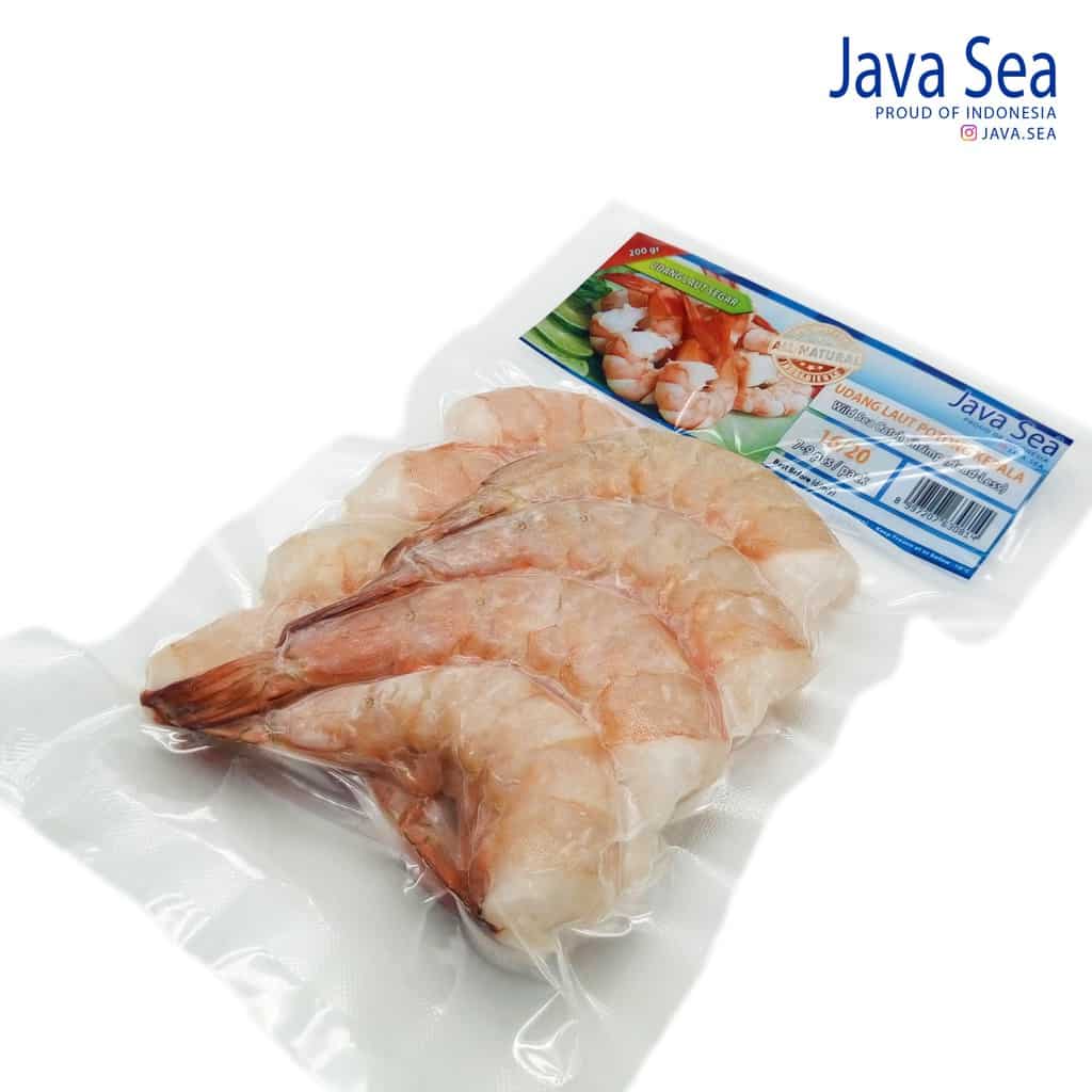 Java-Sea